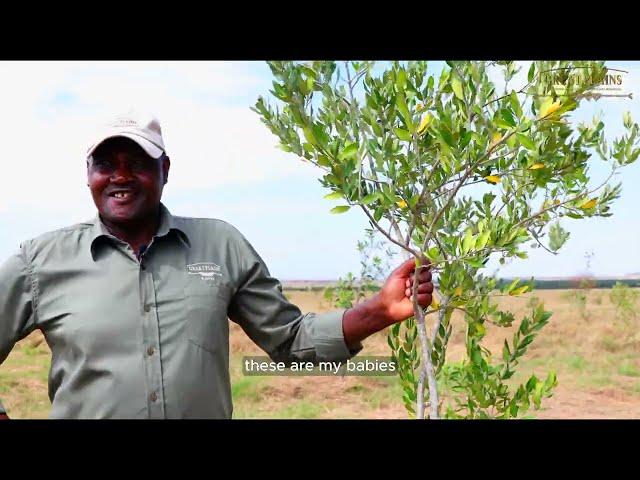 Conservation Roots | Great Plains Conservation