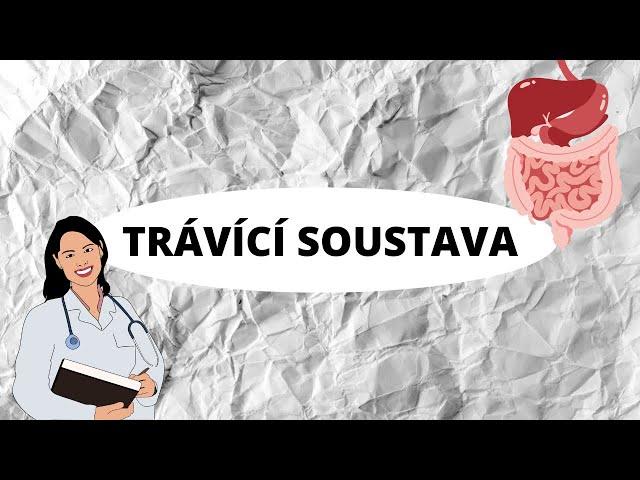 TRÁVICÍ SOUSTAVA