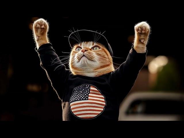 MAGA Cats - Make the Right Choice