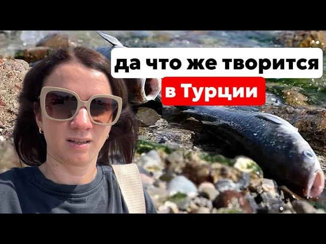 ТУРЦИЯ. БЕДА ЗА БЕДОЙ. ЧТО ОПЯТЬ ТВОРИТСЯ В ИЗМИРЕ