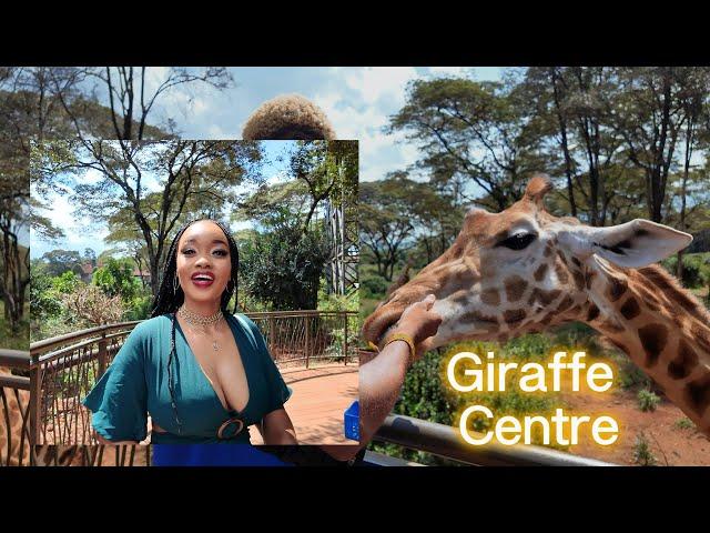 I went to Giraffe Center in Nairobi, Kenya and all Ima say is WOW!