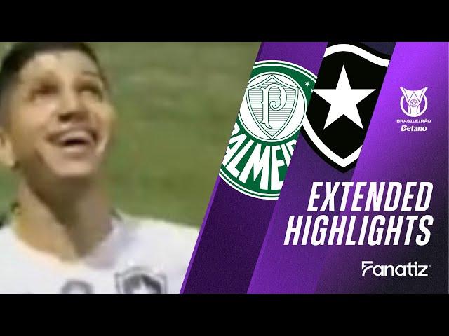 Palmeiras vs. Botafogo 1-3 I Game Highlights I Brasileirão 2024