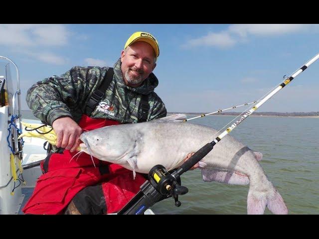 *Team Catfish* catching BIG BLUE CATFISH on Lake Texoma!