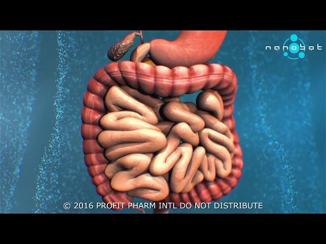 What is gastro peristalsis? - 3D medical animation