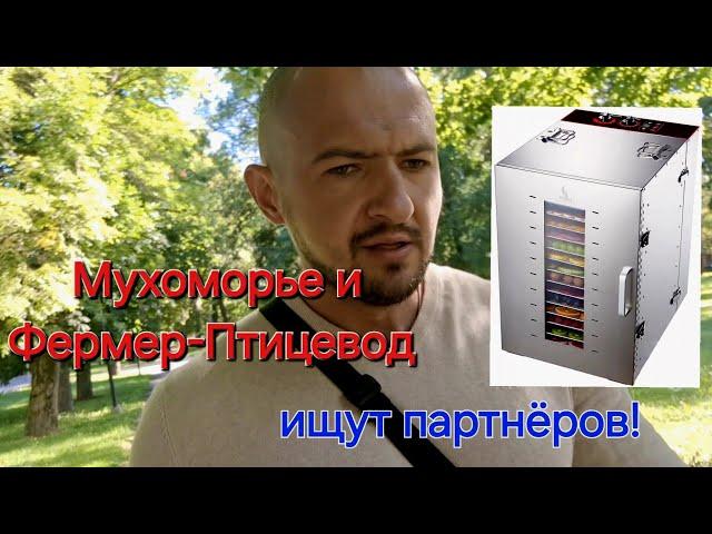 ОТКРЫТИЕ ФЕРМЫ ПО ЕЖОВИКУ И КОРДИЦЕПСУ!