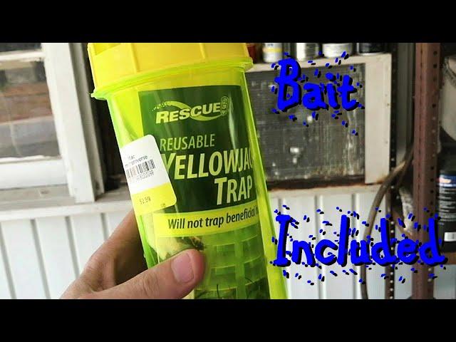 Rescue Reusable Yellow Jacket Trap Setup & Baiting for Capture