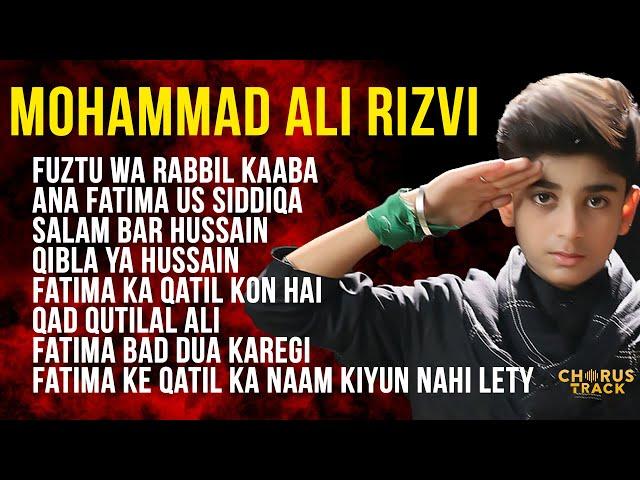 Mohammad Ali Rizvi Nohay 2024 | Full Album