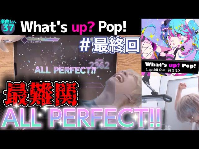 三田皓介 What's up? Pop! ALL PERFECT!!! 全虹奪還【プロセカ/切り抜き】