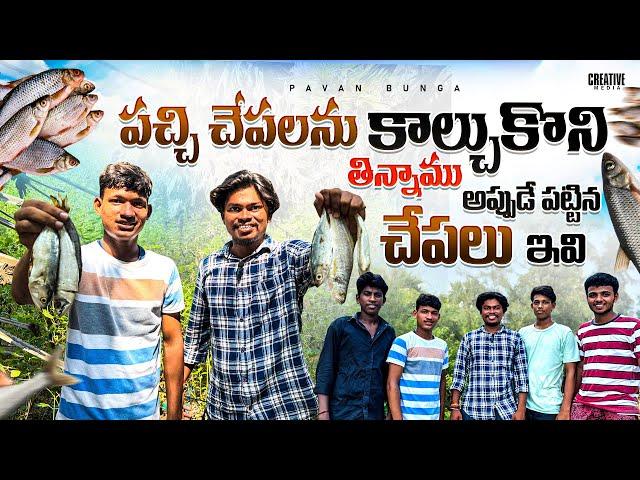 పచ్చి చేపలను కాల్చుకొని తిన్నాము… fresh fish tinnam || Pavan Bunga #pavan_bunga #trending #fishing