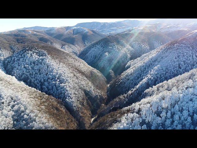 Диалоги о рыбалке.  Часть 1
