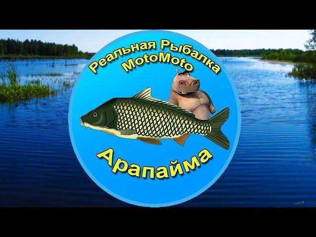 Как поймать Арапайму на Рыбхозе [NEW] | Реальная Рыбалка