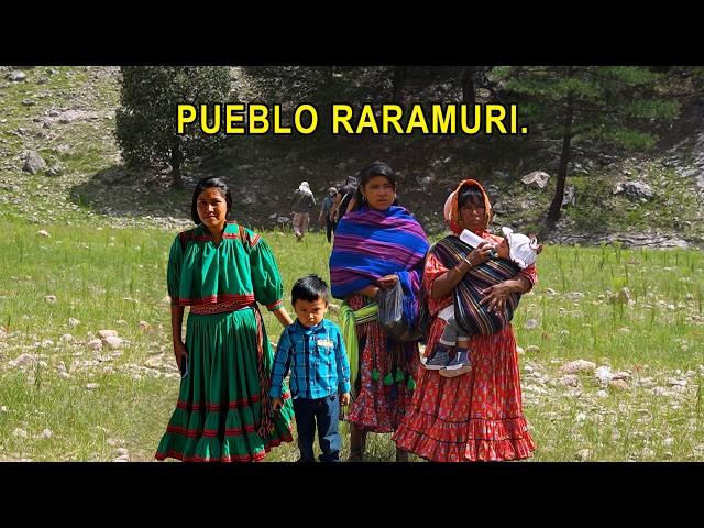 La nación RARAMURI, entre acantilados y valles de Sisoguichi || Chihuahua.