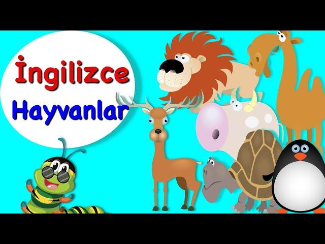 Çocuklar İçin İngilizce I Hayvanlar I Animal