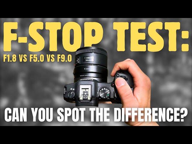 Canon R8 Video Test: How Depth of Field Affects Your Footage