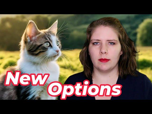 Treatment for FIP? | Vet's Voice