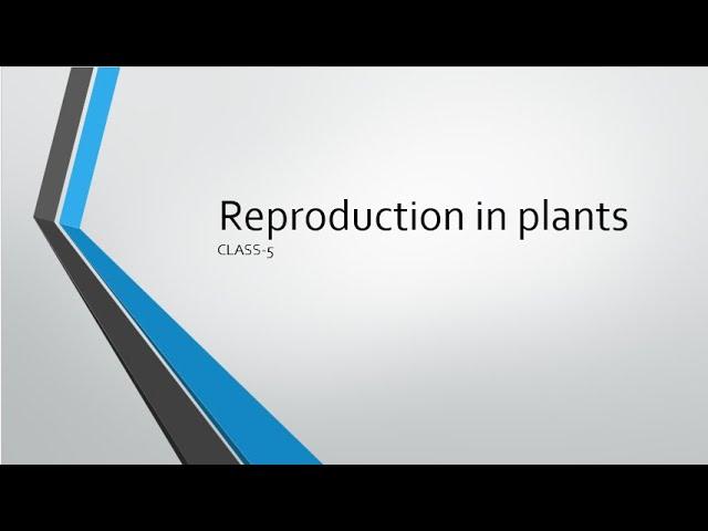 chapter 1 of science  (reproduction in plants) class-5 part-1