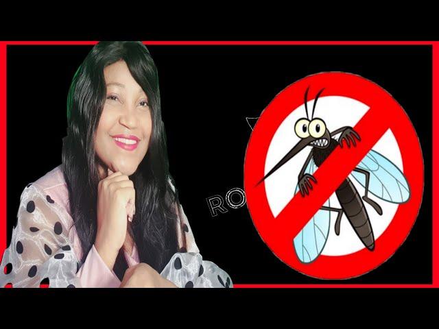 7 Natural Remedies Against Insects to the Effectively REDOUTABLE, No Insecticides