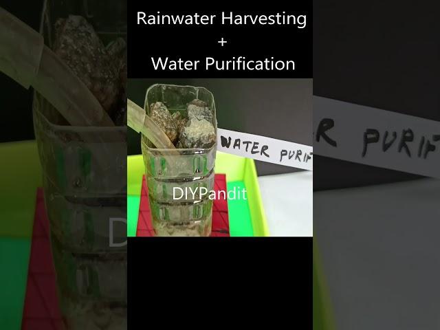 rain harvesting and water purification working model - science project - diy  diypandit | DIY pandit