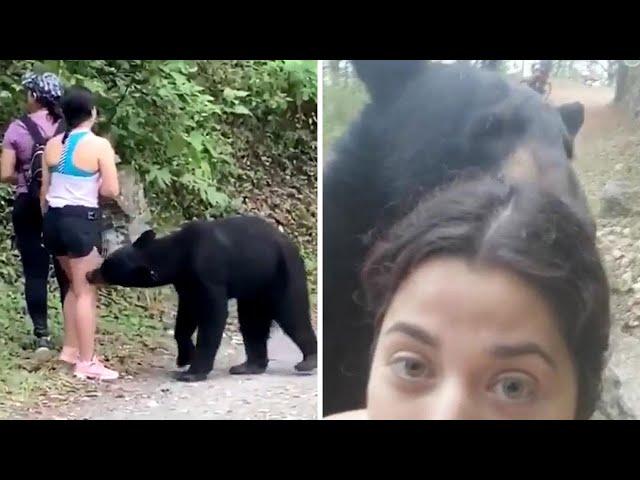 Woman takes selfie with bear on hiking trail in Mexico