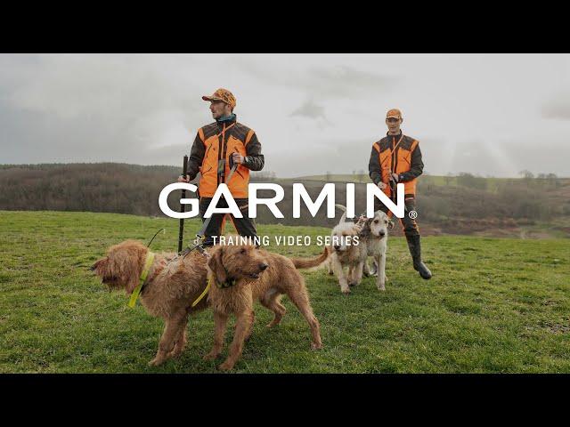 Garmin Alpha® 200i: Multi-dog tracker & trainer – Garmin® Retail Training