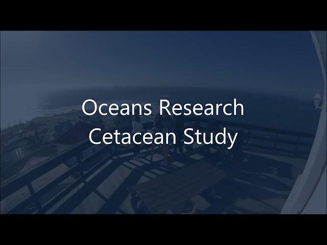 Oceans Research: Cetacean Study