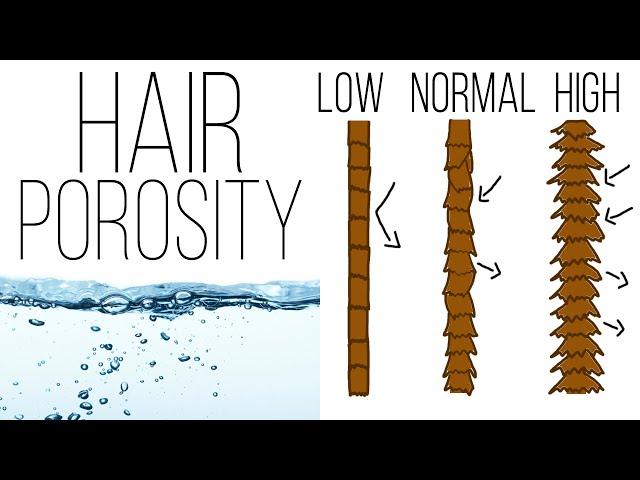 All About Hair Porosity