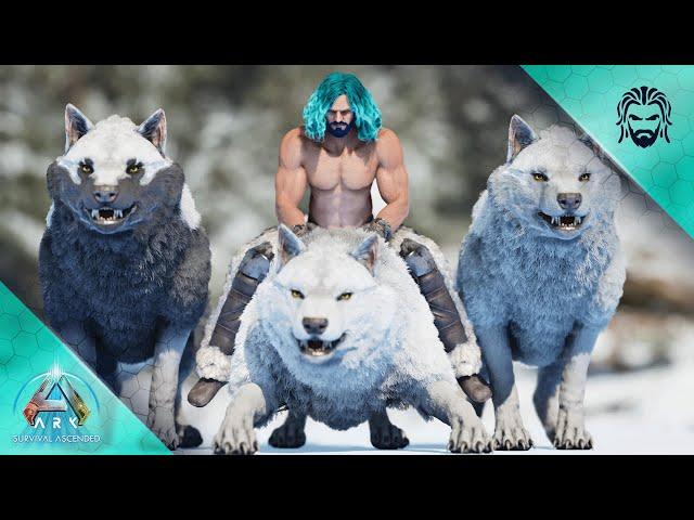 Starting My Direwolf Army! - ARK Survival Ascended [E19]