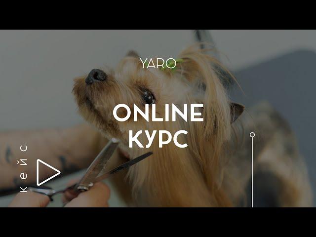 Online курс легенды груминга Романа Фомина