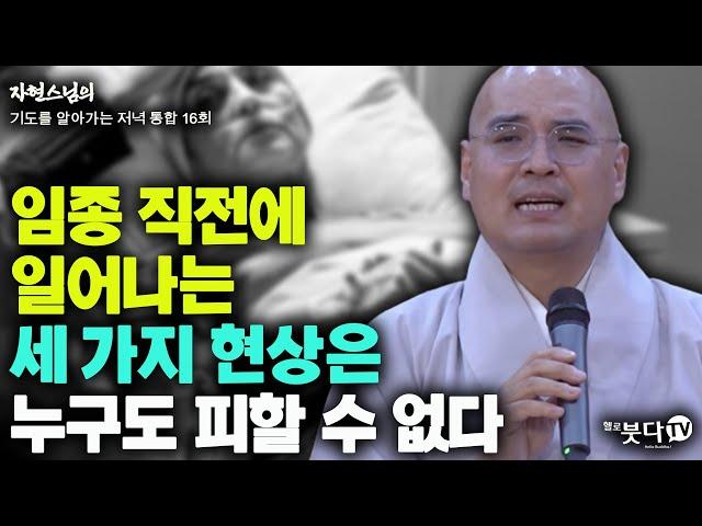 임종 직전에 일어나는 세 가지 현상은 누구도 피할 수 없다 | 자현스님의 기도를 알아가는 저녁 통합본 16회 웃음 재미 이야기 전설 문화 역사 죽음 세상 신기 불교