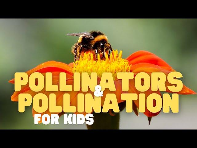 Pollinators and Pollination for Kids | Fun facts about pollination and who's responsible!