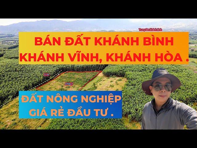 BÁN ĐẤT KHÁNH BÌNH KHÁNH VĨNH. ĐẤT NÔNG NGHIỆP GIÁ ĐẦU TƯ | TRẦN ANH THI BĐS.