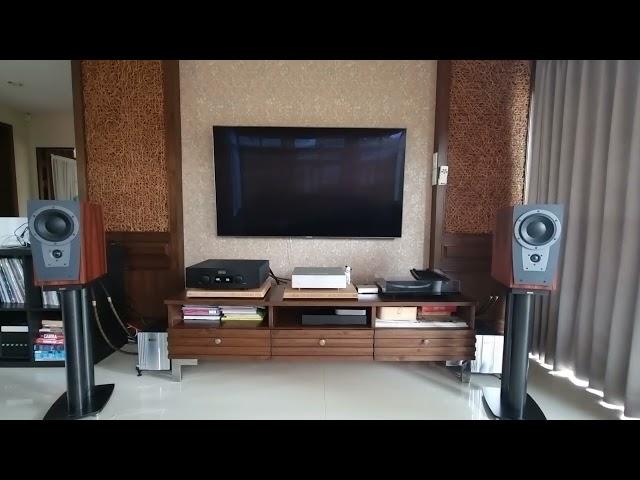 Female Jazz on Hegel H390 x Denafrips Pontus II x Dynaudio Contour S1.4  Fidelizer Nimitra Signature