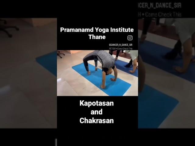 #premanand #yoga #yogaforbeginners #yogapractice #fitness #yogabody
