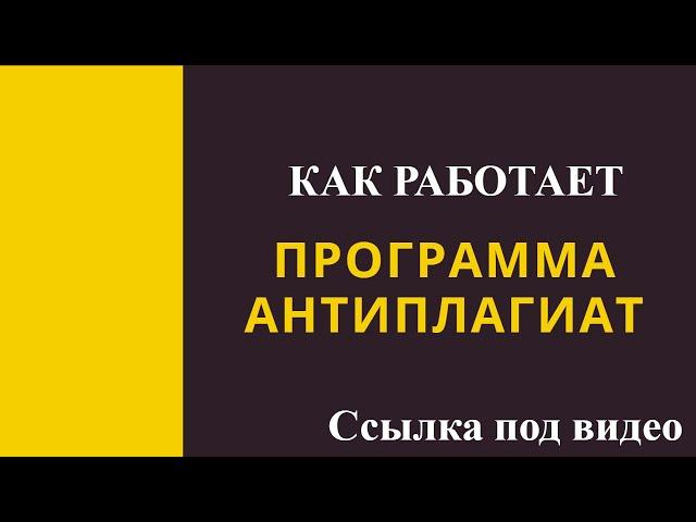 Как работает программа Антиплагиат