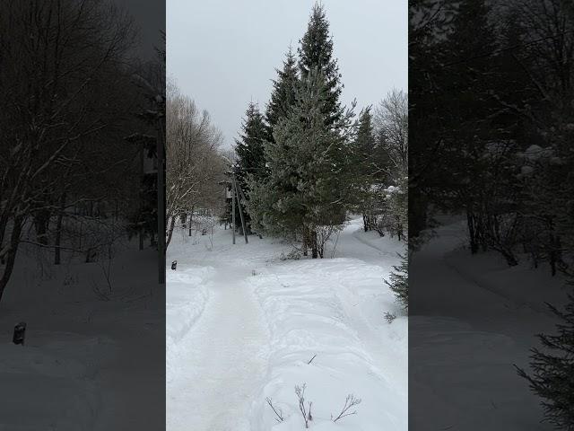 Зимнее видео Серебряного Источника ( деревня Каблуково ) Александровский район Владимирская обл.