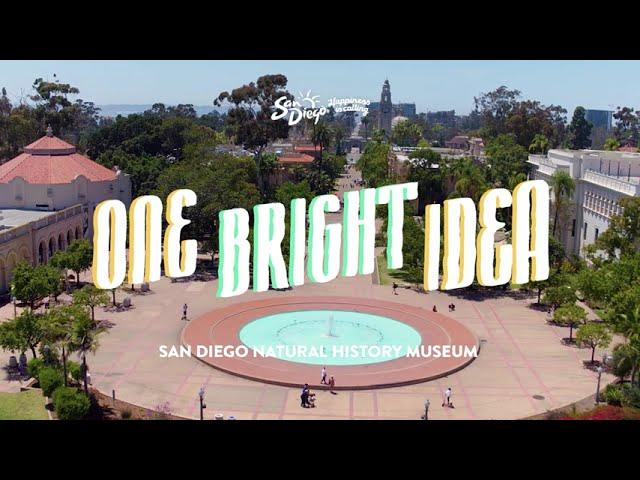 Explore San Diego’s wild side, past and present, at the Natural History Museum — One Bright Idea