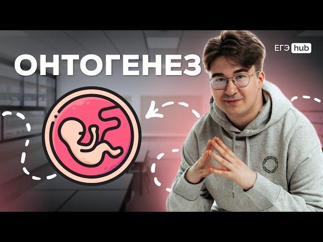 ОНТОГЕНЕЗ | ЕГЭ БИОЛОГИЯ 2025 | АРТУР ВАЙНБЕРГ