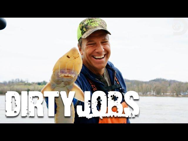 The Dirtiest Food Jobs | Dirty Jobs | Discovery