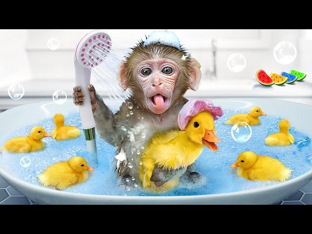 Monkey BuBu Swims in the Foamy Bubble Bathtub and Make Delicious Watermelon - MONO BUBU ESP