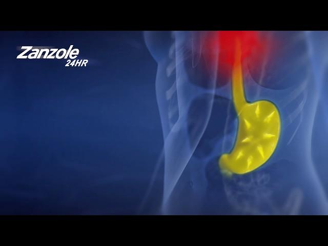 Zanzole 24HR - Relief For Frequent Heartburn - Mode Of Action Animation