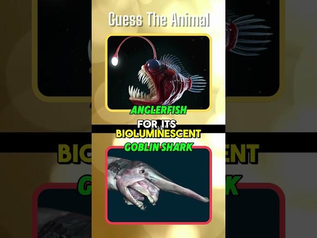 Which animal is known for its ability to survive in the vacuum of space? #quiz #animalfacts #shorts