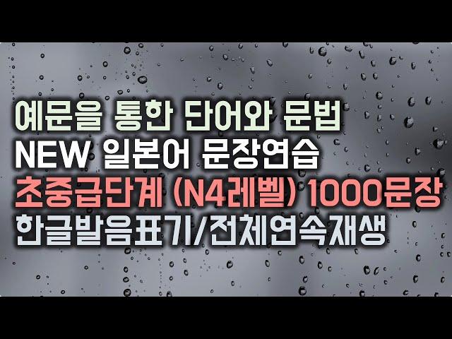 NEW 일본어 문장 연습 [초중급레벨 1000문장] N4레벨 수준 1000문장 (전체 연속재생 풀버전) #변형반복을통한자동학습 #중급일본어 #jlptn4