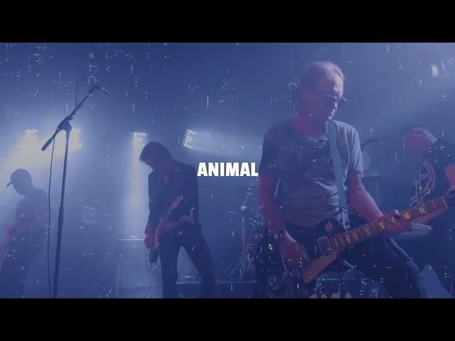 Jesus Jones - Animal Instinct (lyric video)