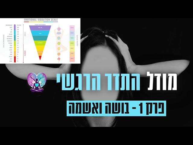 מודל התדרים פרק 1 - בושה ואשמה