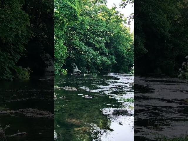 #ірландія #прогулянка #природа #рек