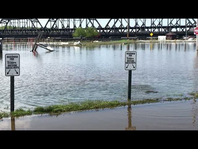 Video: Watch fish swim around the Quad-City Times parking lot