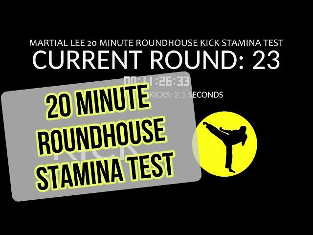 20 Minute Roundhouse Kick Stamina Test - BLEEP Test For Martial Arts Training