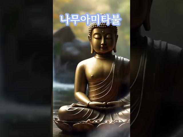 나무아미타불 관세음보살 #부처님말씀 #나무아미타불 #관세음보살 #명상