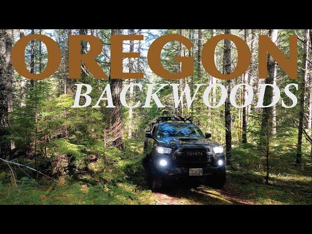 Two Tacomas Deep into the Woods of Oregon