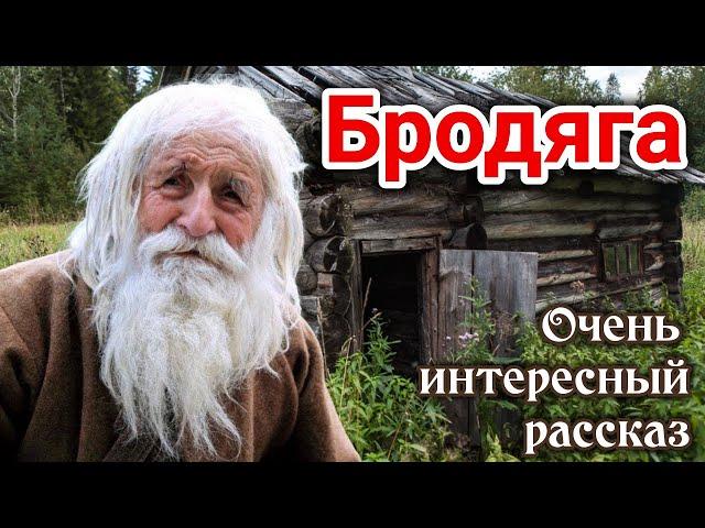 ОЧЕНЬ ИНТЕРЕСНЫЙ РАССКАЗ Бродяга. | Новый Кристина Рой_ДО СЛЁЗ,Христианский_ «Трогательная история»)